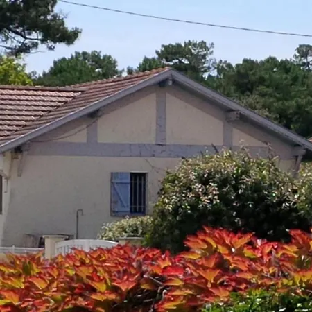 Proche Centre Et - V04245 Semesterbostad *