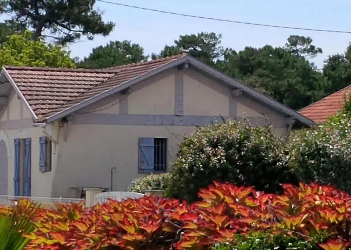 Proche Centre Et - V04245 Сasa de vacaciones *